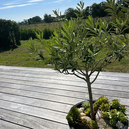 Cozy Summer House Near Kattegat Σπίτι διακοπών Sæby